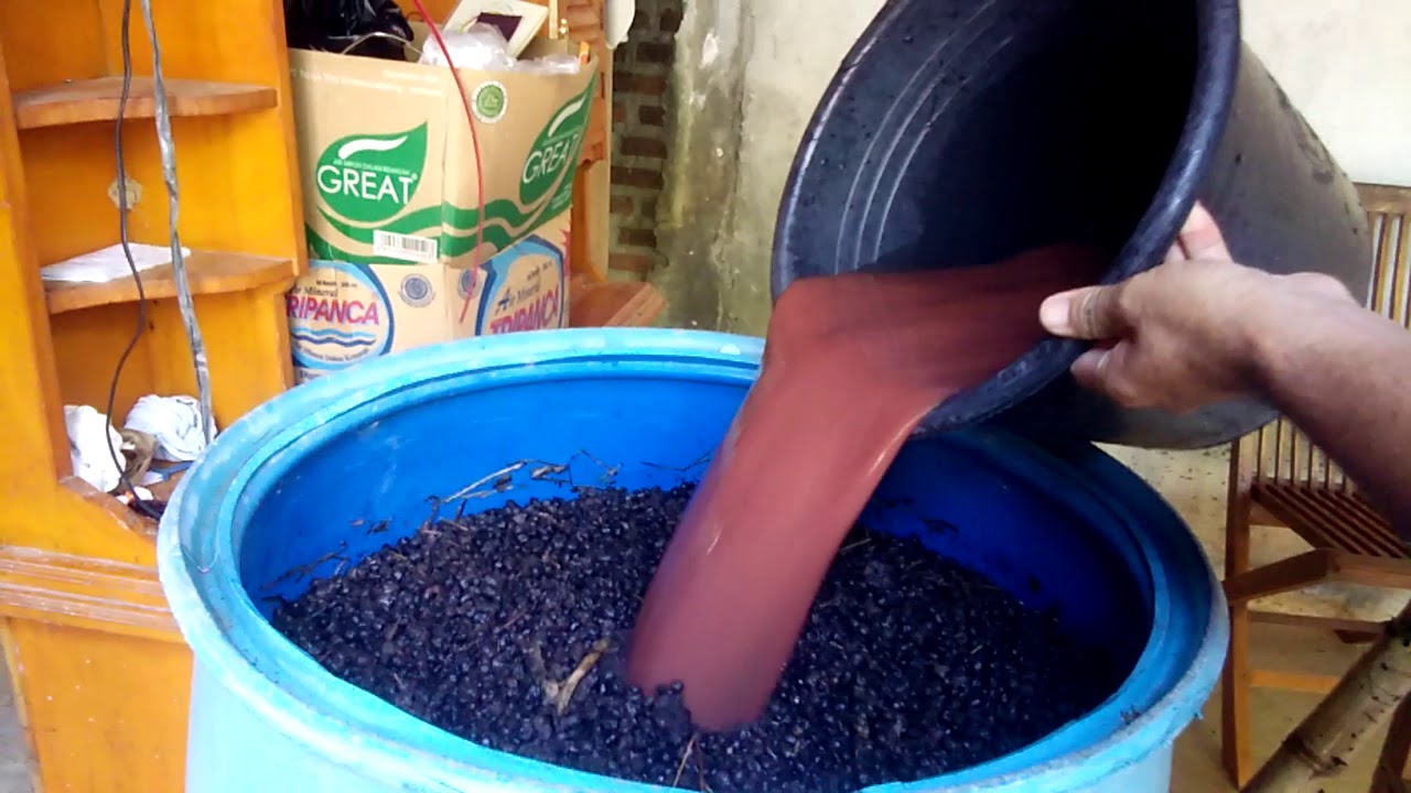 Cara Fermentasi Kohe Kambing