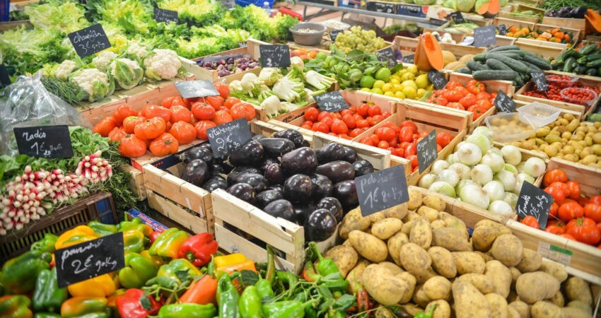 Cara Memulai Usaha Sayur Online