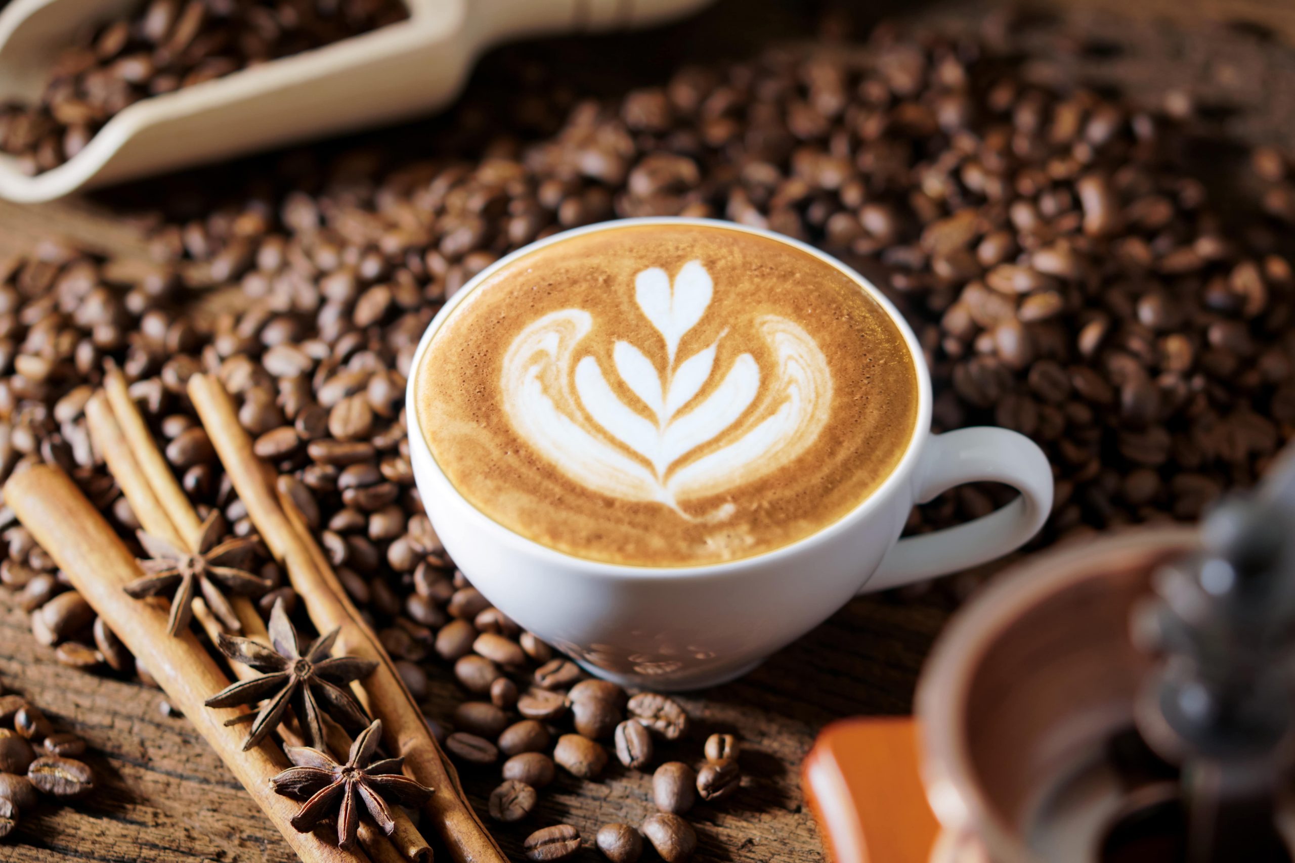 teknologi mesin selep kopi modern