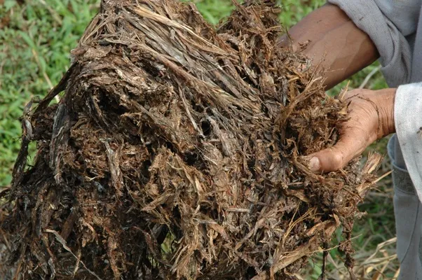 cara membuat pupuk kompos dari rumput liar