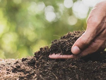 cara membuat pupuk kompos dari rumput liar 
