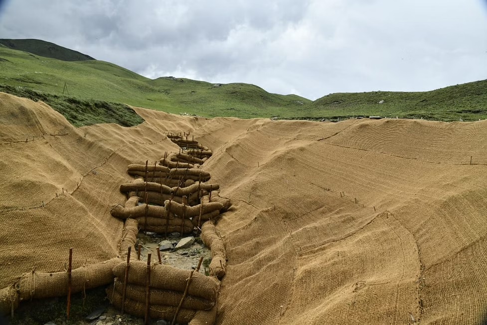 coir roll matting