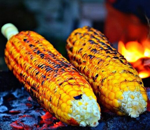 bisnis jagung bakar