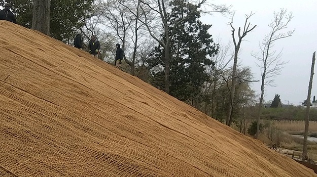 coir geotextiles uses