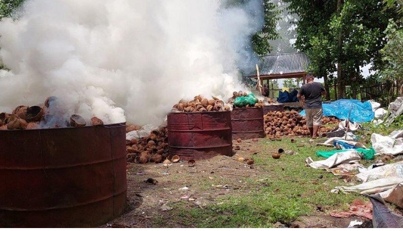 agricultural waste briquettes