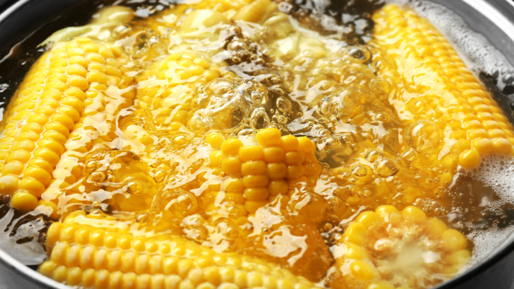 Cara memasak jaung rebua