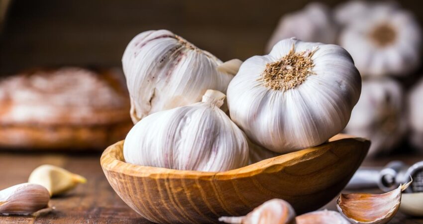 Jenis-jenis bawang putih