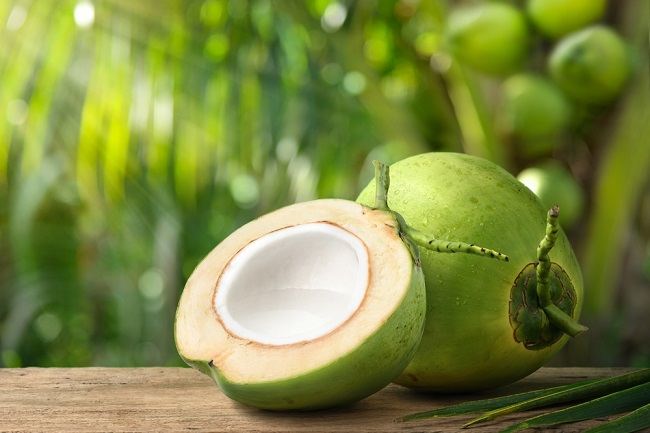 Peluang Bisnis Kelapa Potensial