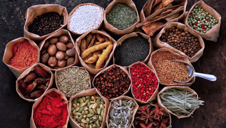 masakan khas nusantara