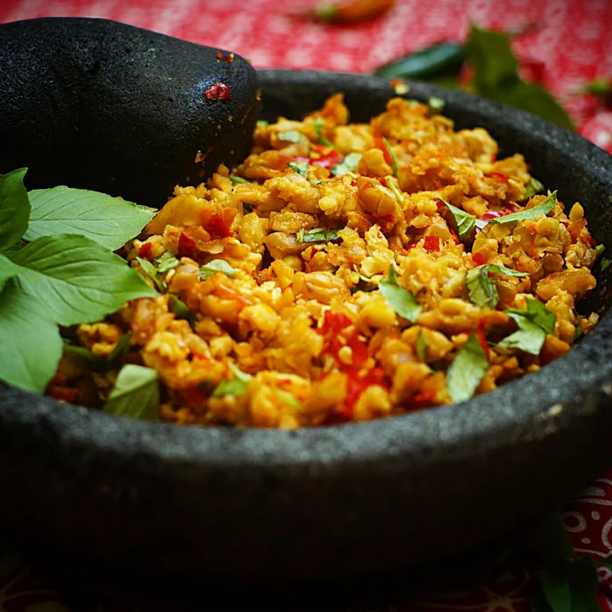 Aneka Masakan dari Tempe 