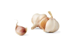 pengolahan bawang putih untuk obat