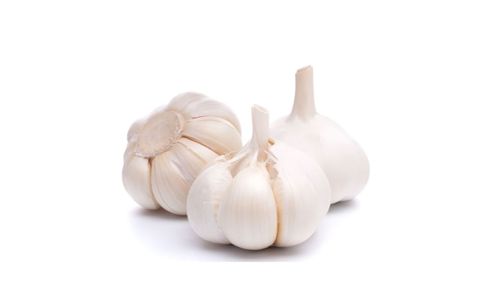 pengolahan bawang putih untuk obat