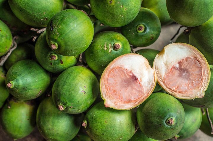 peluang usaha buah pinang