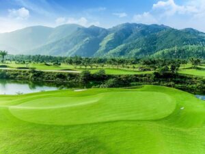 Rumput Golf Berkualitas