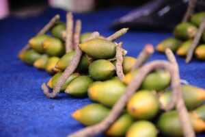 peluang usaha buah pinang 
