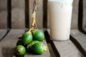 peluang usaha buah pinang 