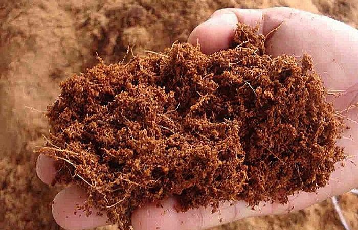 Inovasi pertanian berkelanjutan sabut kelapa