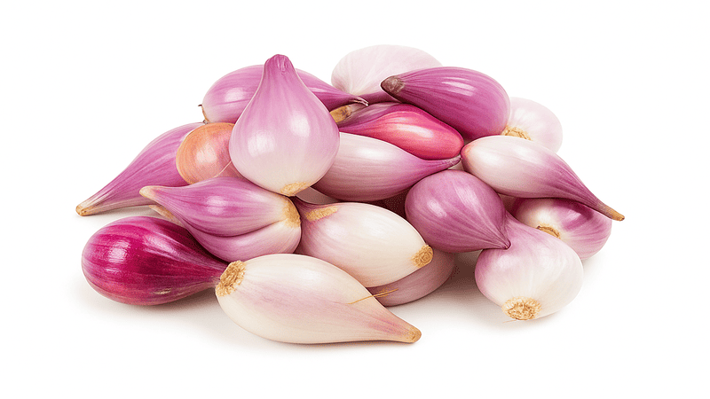 mesin pengiris bawang otomatis