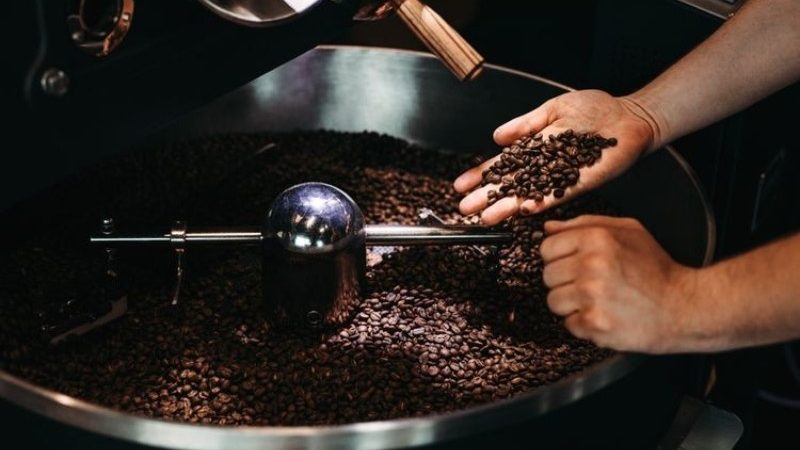 kualitas kopi hasil sangray kopi
