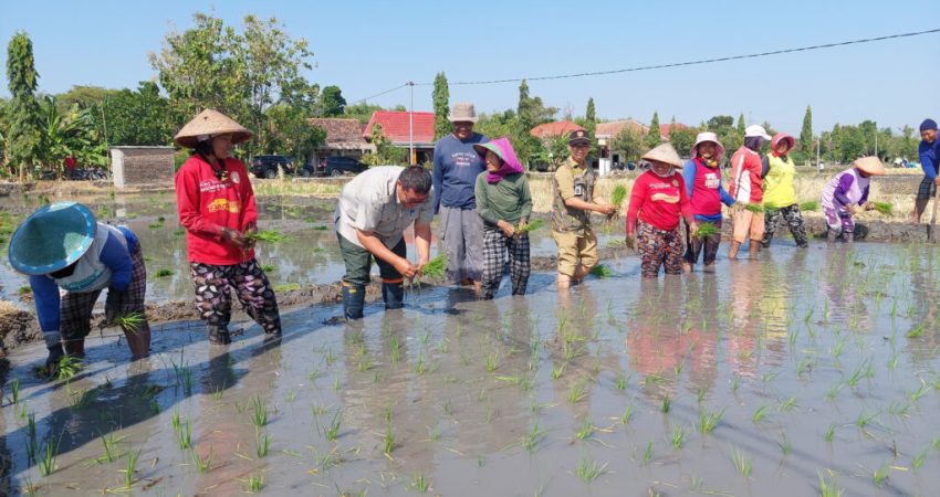 Kerjasama Sekolah Petani Lokal Produktif Berdaya-Saing