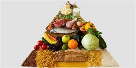pengembangan aplikasi gizi & konsumsi makanan