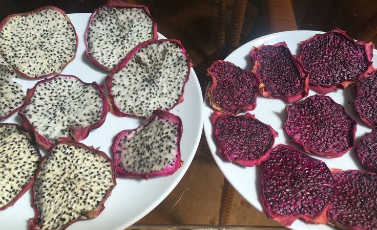 cara membuat keripik buah naga