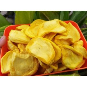 jualan keripik nangka online 