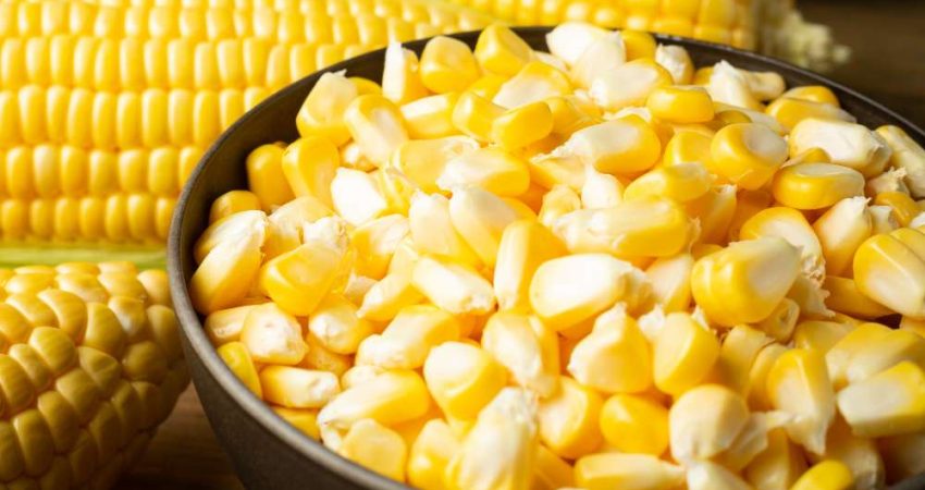 Keunggulan Pemipil Jagung Modern