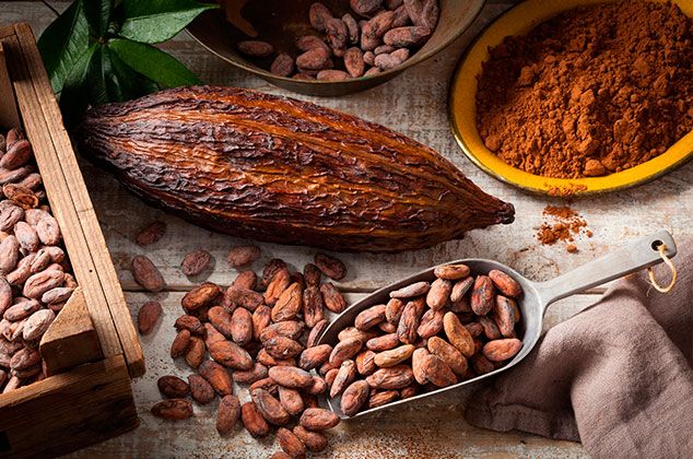 cara bikin coklat dari biji