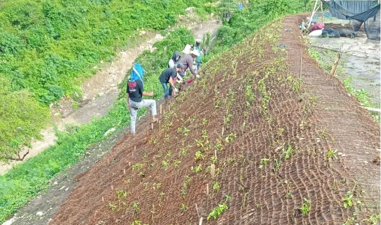 cocomesh-sabut-kelapa-pelindung-permukaan-tanah