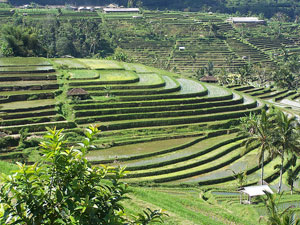 metode-bangunan-pengendali-erosi-tanah
