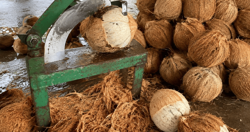 manfaat sabut kelapa untuk usaha