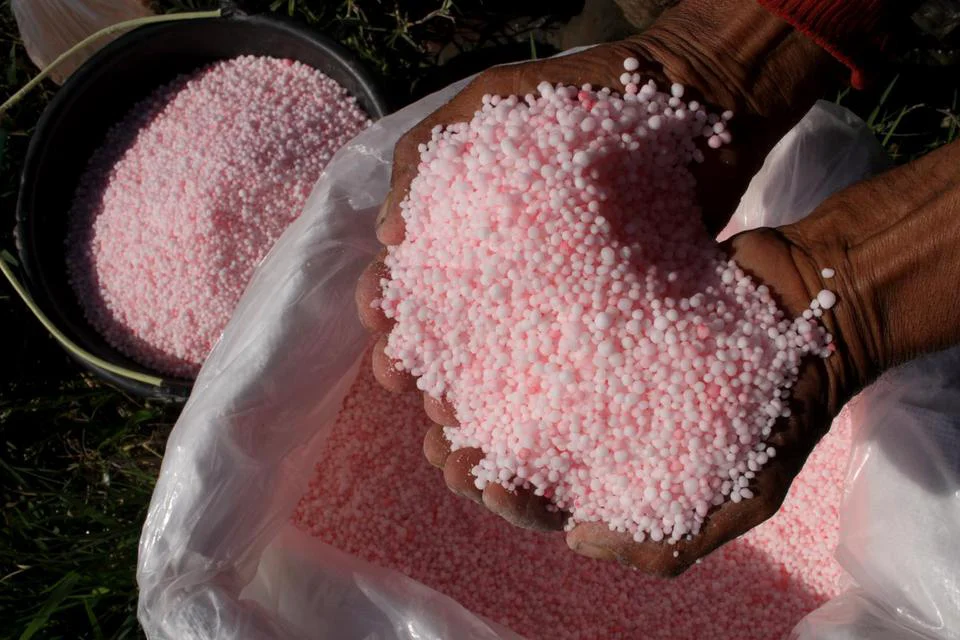 Penggunaan Pupuk Urea Pada Tanaman