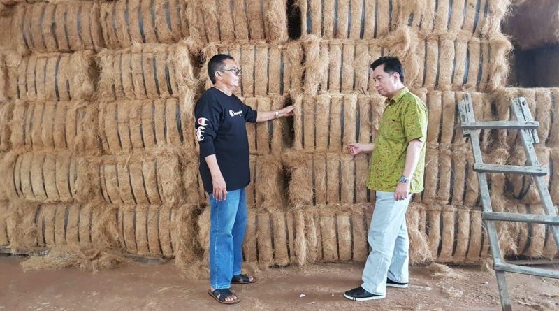 **Pasar Internasional untuk Sabut Kelapa: Peluang yang Menggiurkan