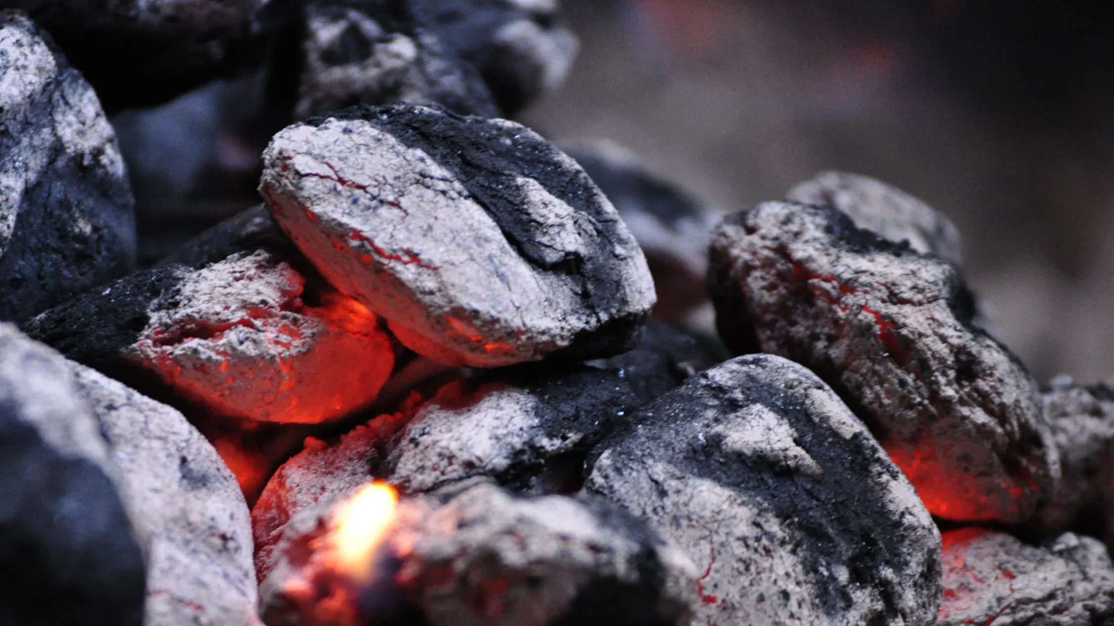 Top Coconut Briquettes For Professional Kitchens