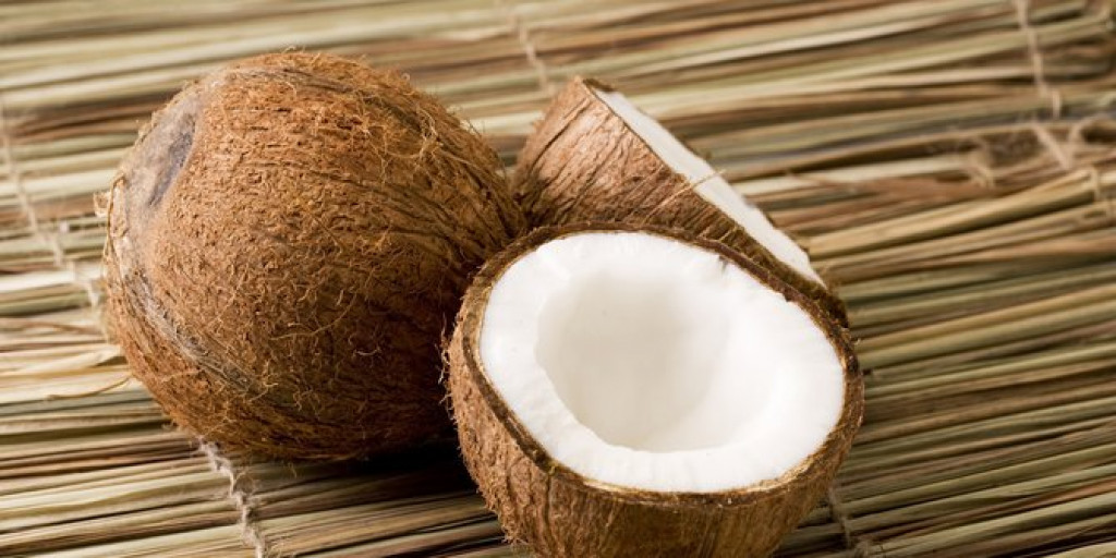 keuntungan usaha pengolahan kelapa