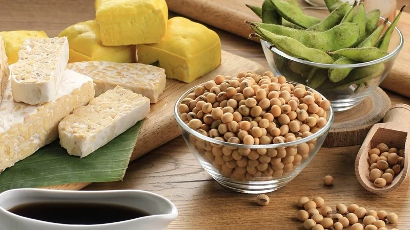 penyediaan alternatif bahan protein lokal