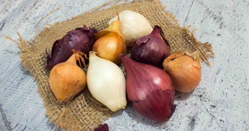 cara menghilangkan bau bawang di tangan