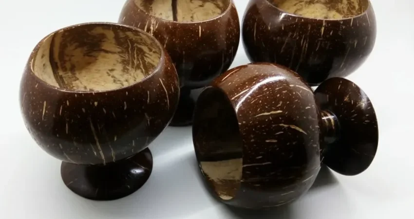 pengolahan batok kelapa untuk usaha