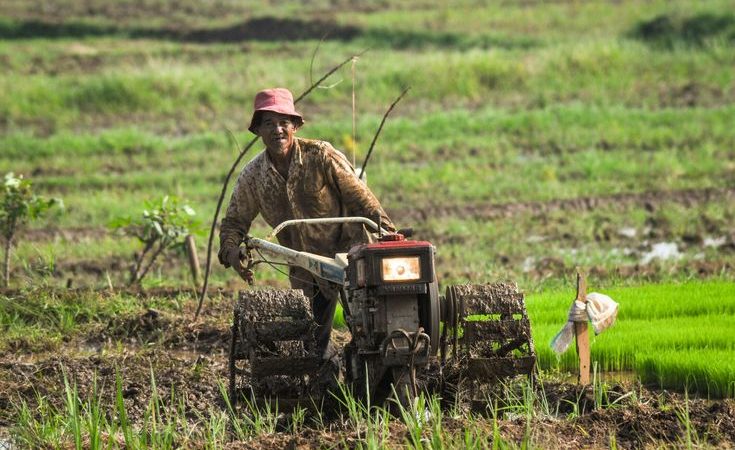 teknik membajak lahan pertanian