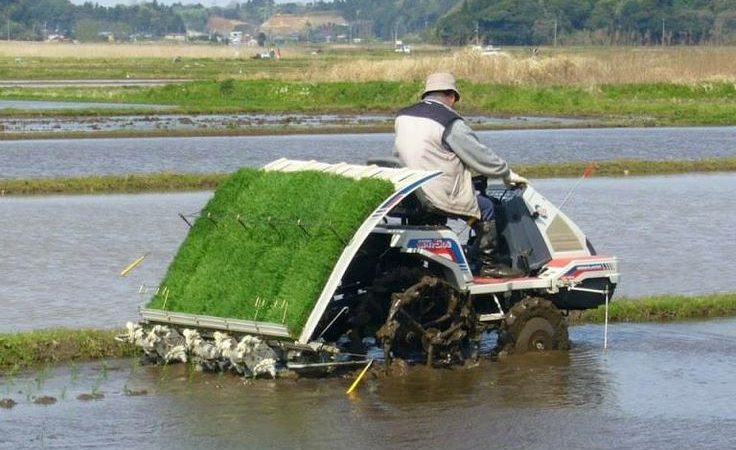 perbedaan harga mesin tanam padi